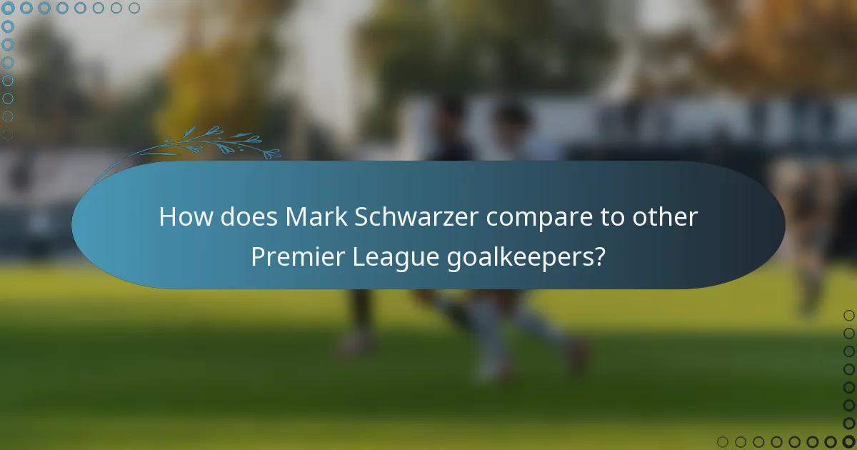 How does Mark Schwarzer compare to other Premier League goalkeepers?