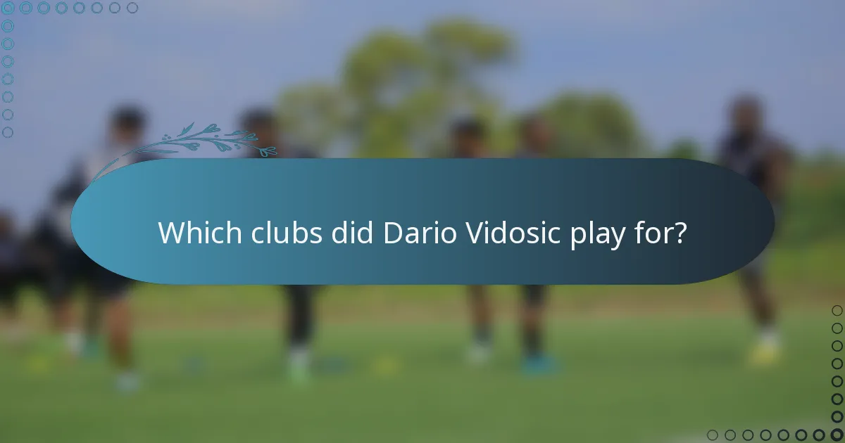 Which clubs did Dario Vidosic play for?